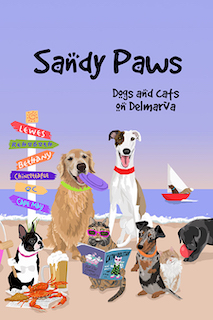 Sandy Paws Book Cover